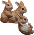 Rabbit Product