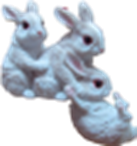 Rabbit Product