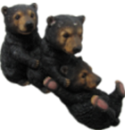Black Bear Product