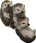 Hedgehog Product