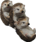 Hedgehog Product