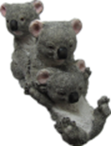 Koala Product