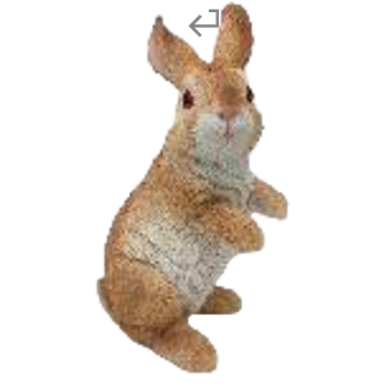Rabbit Product