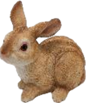 Rabbit Product