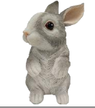 Rabbit Product