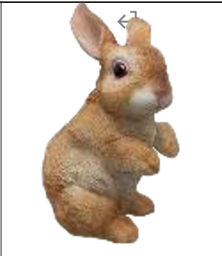 Rabbit Product