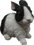 Rabbit Product