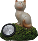 Cat Product