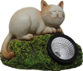 Cat Product