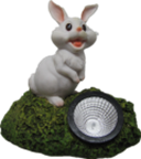 Rabbit Product