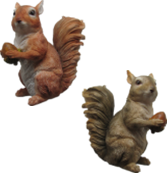 Squirrel Product