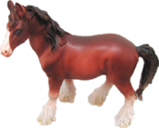 Horse Product