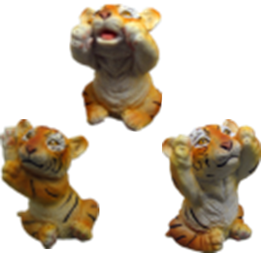 Tiger Product