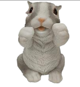 Rabbit Product