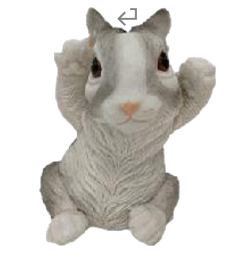 Rabbit Product