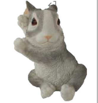 Rabbit Product