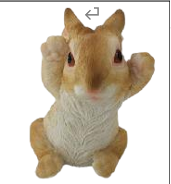 Rabbit Product