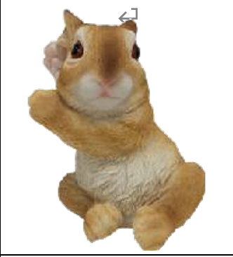 Rabbit Product