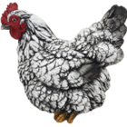 Chicken Product