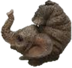 Elephant Product