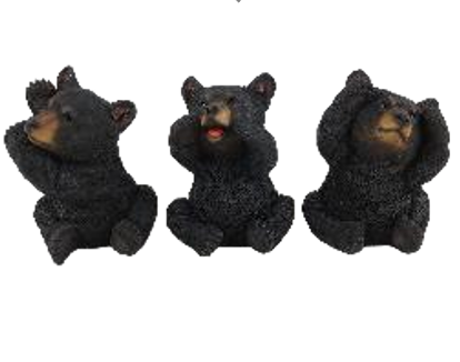 Black Bear Product