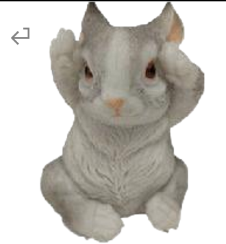 Rabbit Product