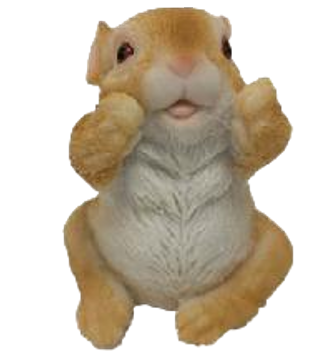 Rabbit Product