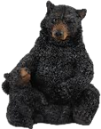Black Bear Product