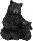 Black Bear Product