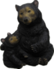 Black Bear Product