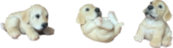 Dog Product