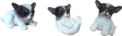 Dog Product