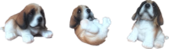 Dog Product