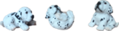 Dog Product