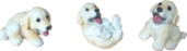 Dog Product