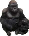 Chimpanzee Product