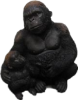 Chimpanzee Product