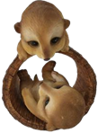 Meerkat Product