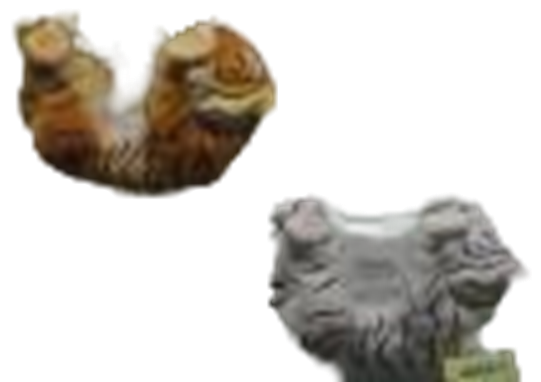 Tiger Product