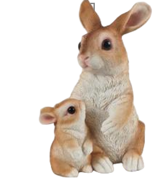 Rabbit Product