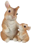 Rabbit Product
