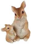 Rabbit Product