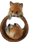 Fox Product