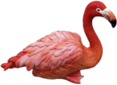 Flamingo Product