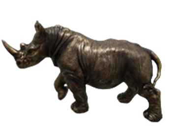 Rhinoceros Product