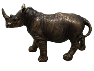 Rhinoceros Product