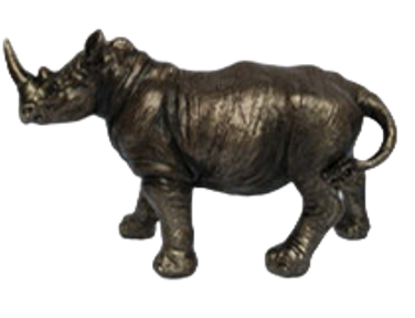 Rhinoceros Product