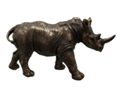 Rhinoceros Product