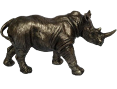 Rhinoceros Product