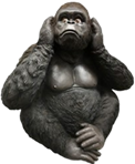 Chimpanzee Product